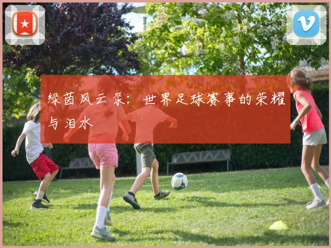 绿茵风云录：世界足球赛事的荣耀与泪水